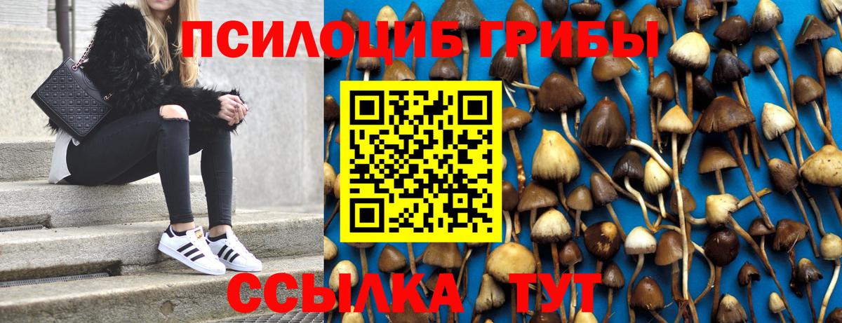 Псилоцибиновые грибы ЛСД Фролово