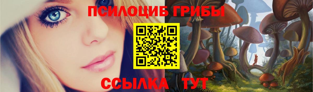 Фролово  Галлюциногенные грибы Cubensis  Вход с VPN  Галлюциногенные грибы Cubensis 